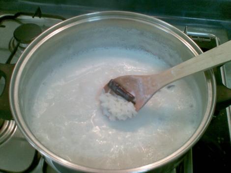 Arroz con leche